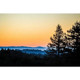 Serenity | Metallic Print