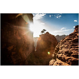 The Tree On Bell Rock | Acrylic Print