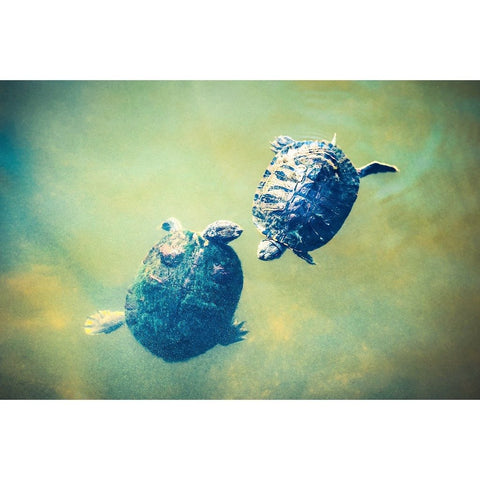 Slow Dance | Metallic Print