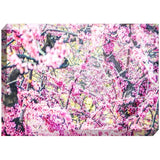 Spring Blossoms | Acrylic Block