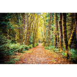 Path To Bainbridge | Metallic Print