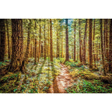 Enchanted Forest | Metallic Print