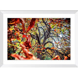 Autumn Dance | Framed Print