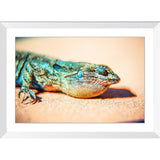 The Dreamer | Framed Print