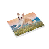 Prickly Pear | Pet Bed