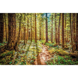 Enchanted Forest | Metallic Print