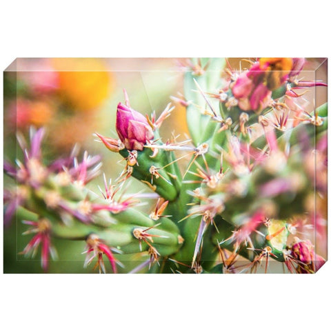 Cactus Blossom | Acrylic Block