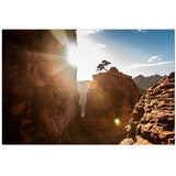 The Tree On Bell Rock | Canvas Wrap