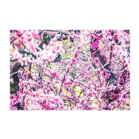 Spring Blossoms | Canvas Wrap