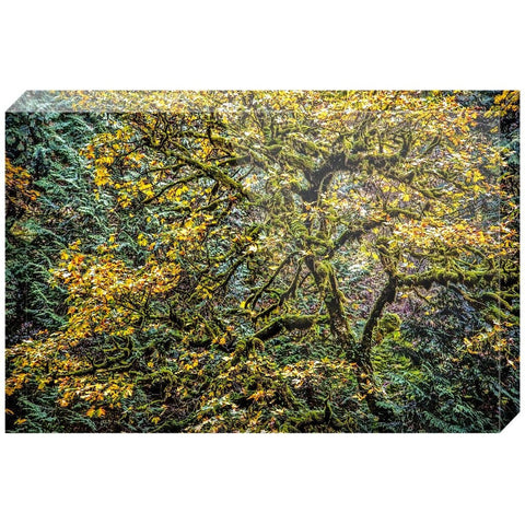 Autumn Glory | Acrylic Block