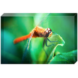 The Dragonfly | Acrylic Block