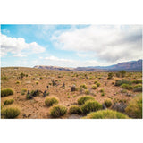 Desert Vibes | Acrylic Print