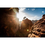 The Tree On Bell Rock | Metallic Print