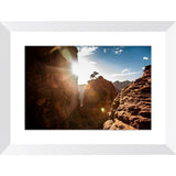 The Tree On Bell Rock | Framed Print