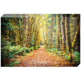 Path To Bainbridge | Acrylic Block