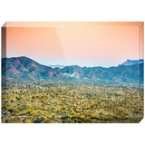 Prickly Pear | Acrylic Block