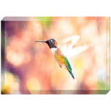 Hummingbird in Flight | Acrylic Block