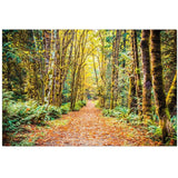 Path To Bainbridge | Canvas Wrap