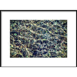 Majestic Flow | Framed Print