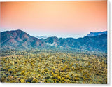 Prickly Pear - Canvas Print