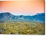 Prickly Pear - Canvas Print