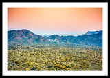 Prickly Pear - Framed Print